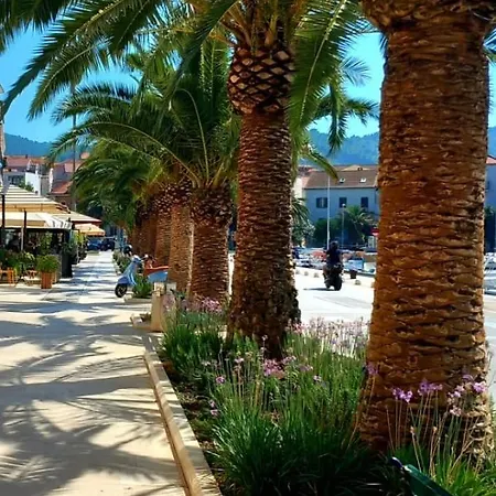 Apartman Ana Lotre Vela Luka Exterior photo